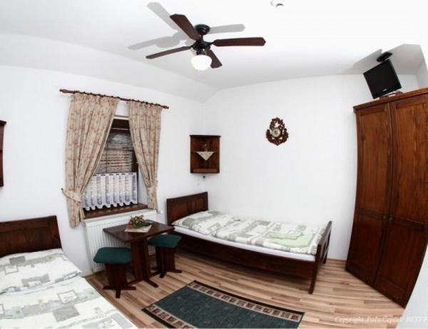 Penzion Gazdovsky Hostinec Topolcianky Room photo